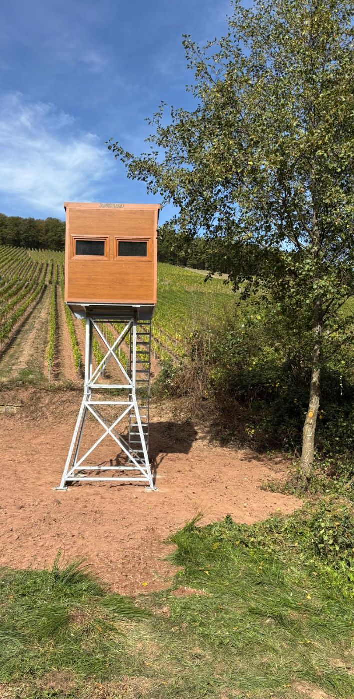 Kanzel mit zwei Fenstern auf Modulgestell am Weinberg