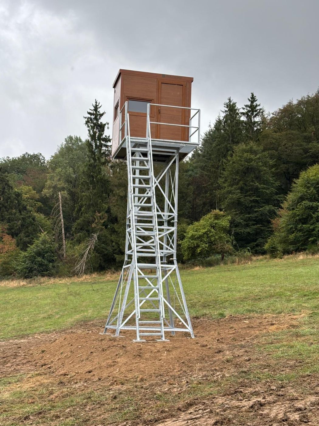 Hohes Modulgestell mit Treppenleiter, Podest und Kanzel vor Nadelwald