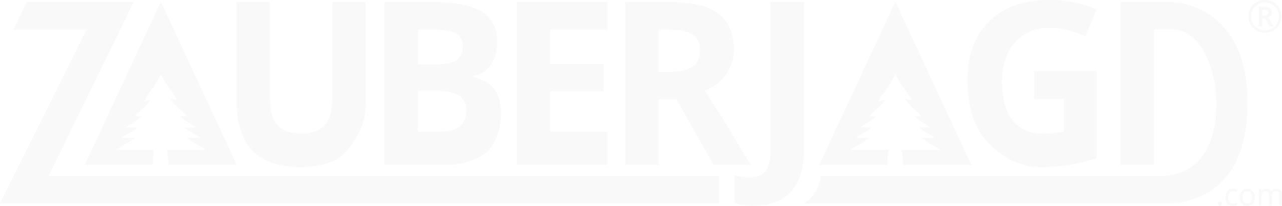 Zauberjagd